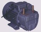 Monoblock Rotary Vacuum Pump