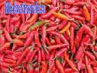 Red Chilly-02