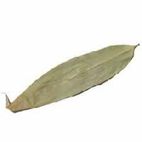 dried bamboo leaves