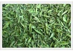 Stevia Dry Leaves