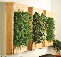 wall planter