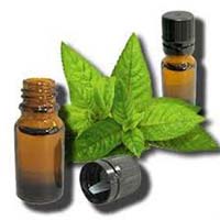 Mentha Oil BP