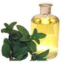 Mentha Oil IP