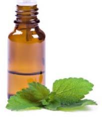 Mentha Oil USP