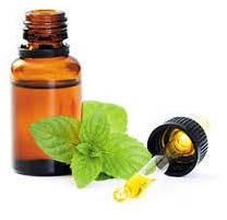 Peppermint Oil IP