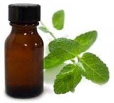 Spearmint Oil