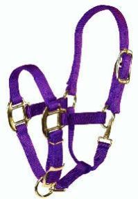 Nylon Halter