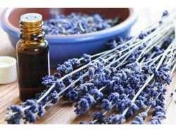 lavendar oil