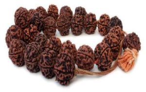 Rudraksha Consultancy