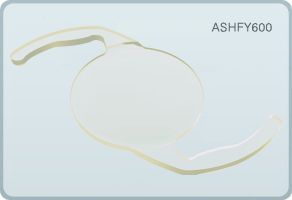 hydrophilic lenses