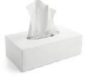 Facial Tissue