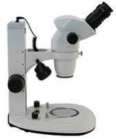 Dissecting Microscope