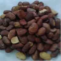 Karanja Seeds