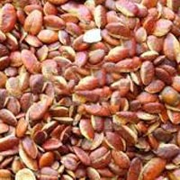 African Mango Seeds