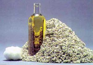 Cottonseed Oil