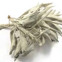 sage dried leaves