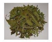 Stevia Dried Leaves