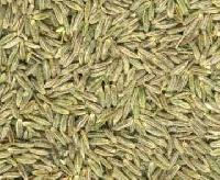 Cumin Seeds