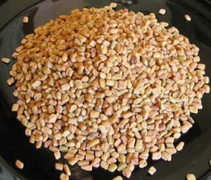 Fenugreek Seeds