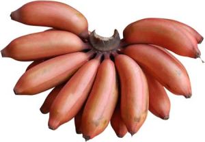 Red Banana