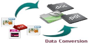data conversion service