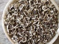 Quality Moringa Seeds