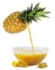 Pineapple Pulp