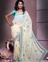 Light Embroidered Saree