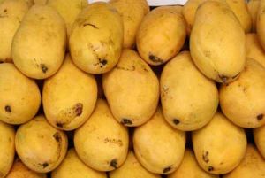 Mangoes