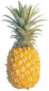 Fresh Pineapple