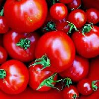 Tomatoes