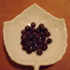 Black Pepper Seeds