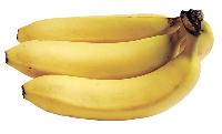 Fresh  Cavendish Bananas