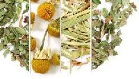 natural herbal health supplement