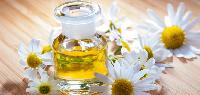 Chamomile Oil