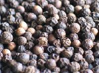 Black Pepper Seeds