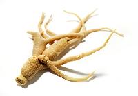 ginseng roots