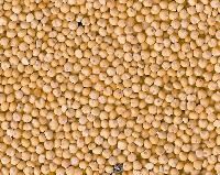 Yellow Millet