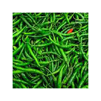 Fresh Green Chilli (g4)