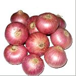 Onion