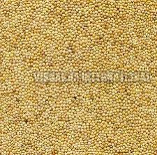Natural Millet Seeds