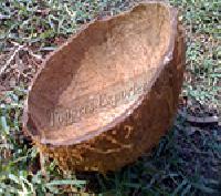 Coconut Shell