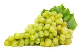 Fresh Grapes