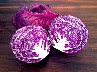 Red Cabbage