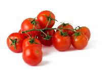 Cherry Tomato