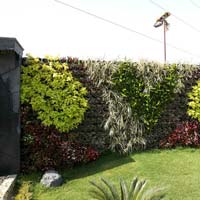 Vertical Garden Installation