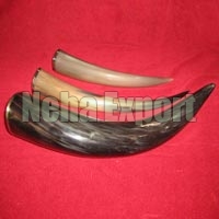 Drinking Horn