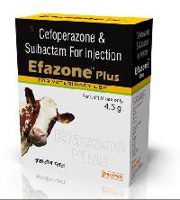 Efazone Plus Injection