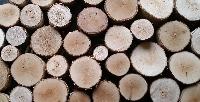hardwood round logs