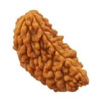 One Face Rudraksha